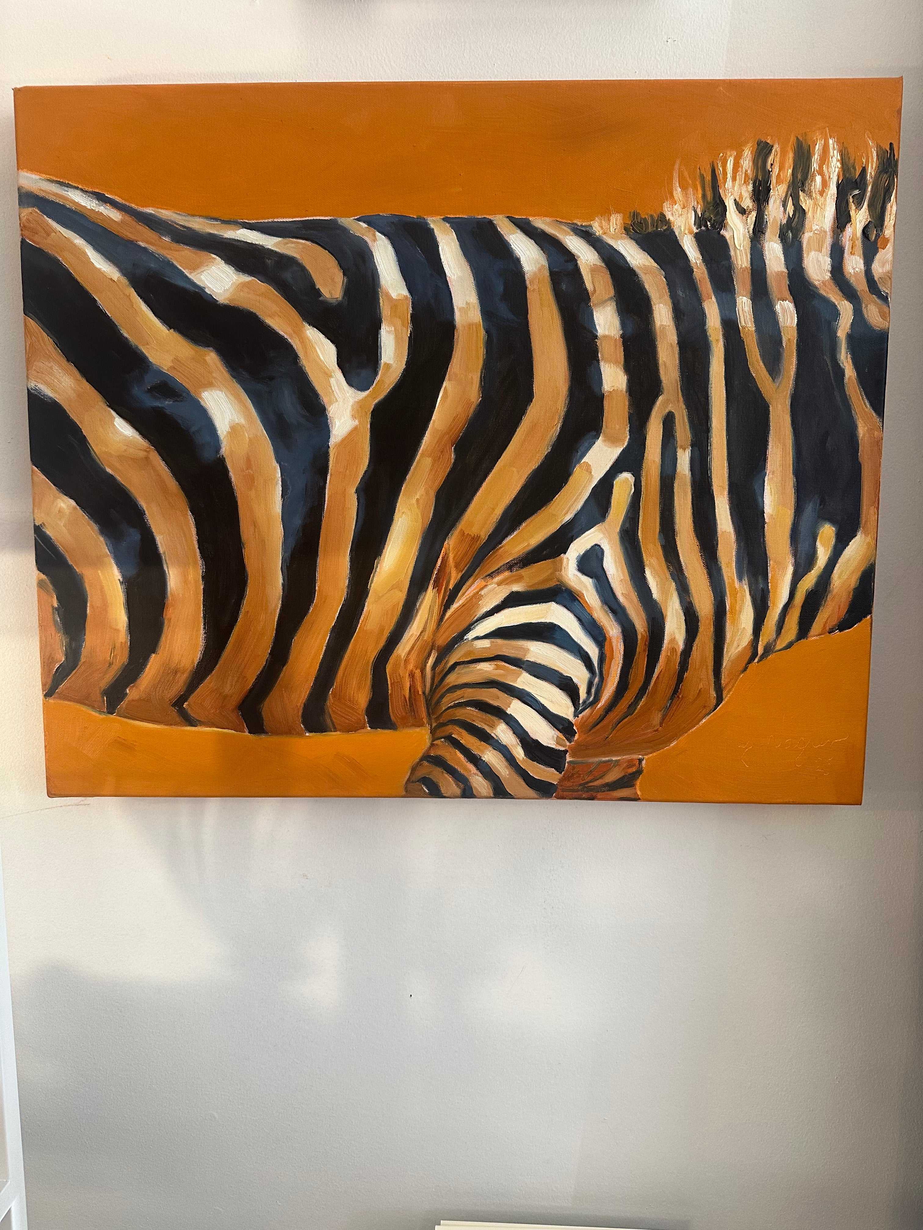 Zebra, 20