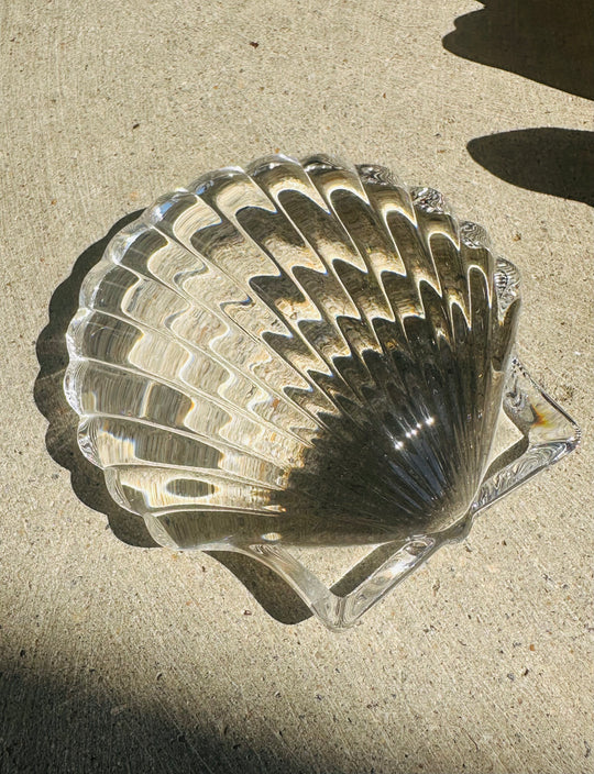 Glass Shell Paperweight
