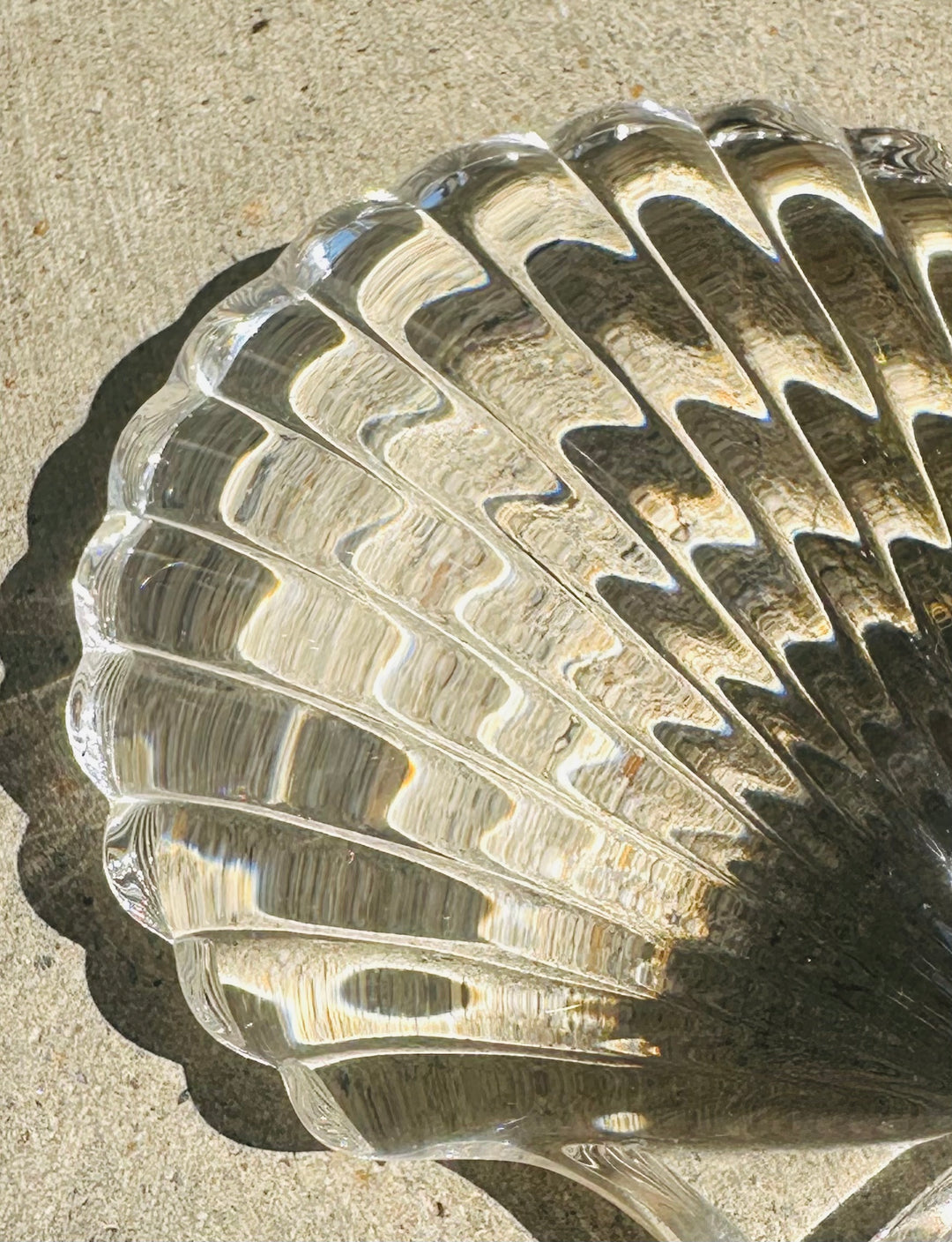 Glass Shell Paperweight